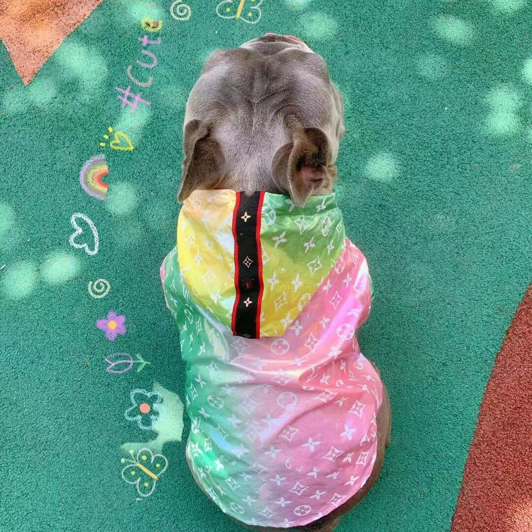 Pastel LV Hooded Raincoat