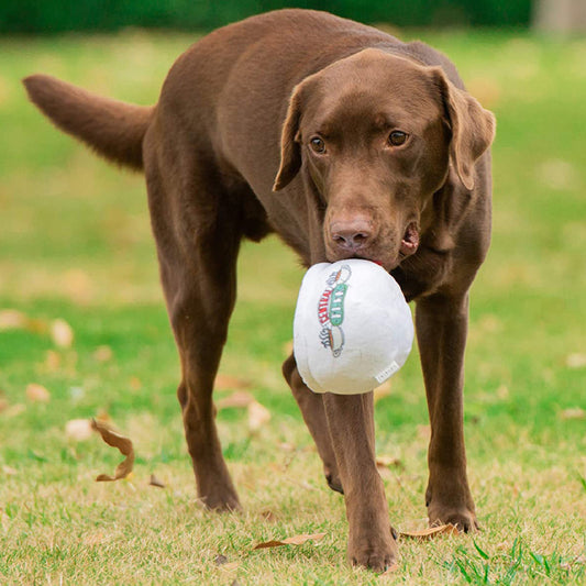 Central Perk Cup Squeaker Toy