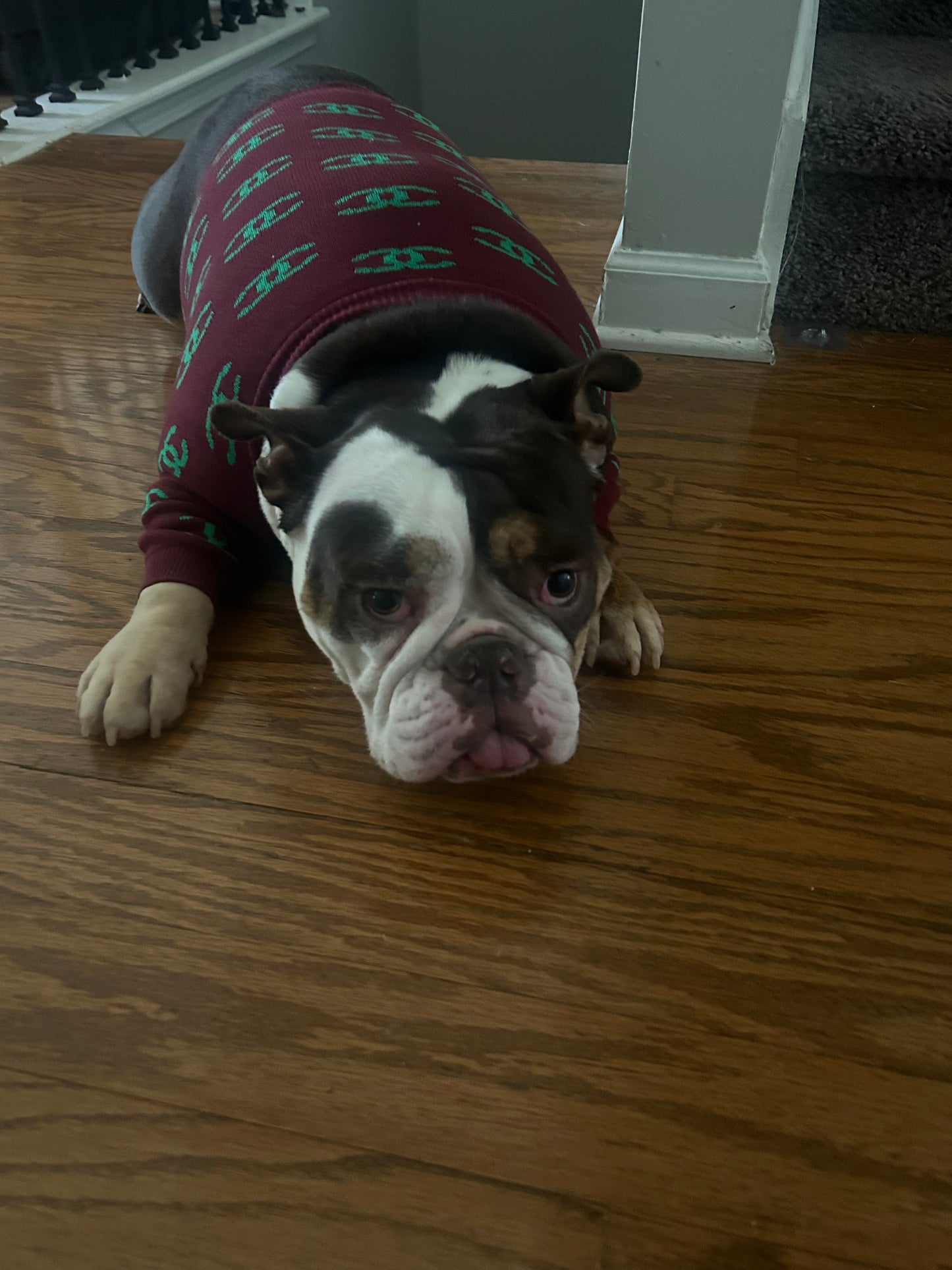 Maroon Lime CC  Sweater