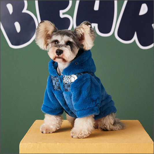 Blue Dog Face GG Jacket