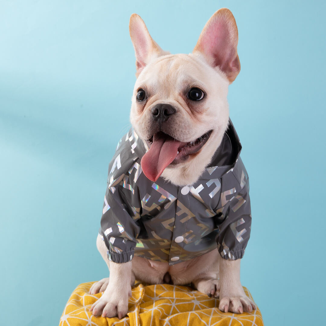 Grey Silver FF Hooded Windbreaker