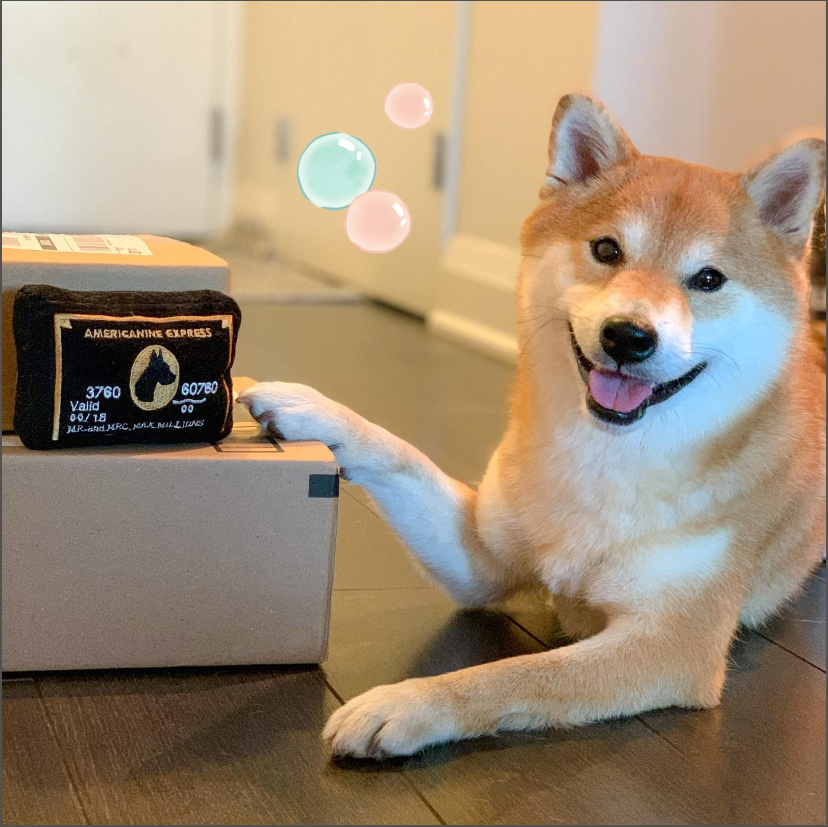 Amerikanine Express black Squeaker Toy