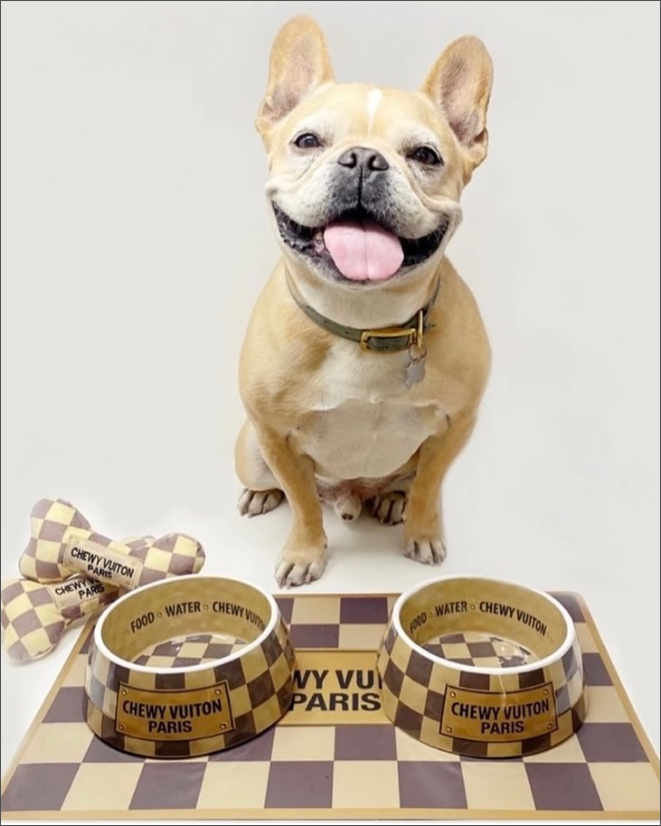 Chewy Vuitton LV Dog Bowl