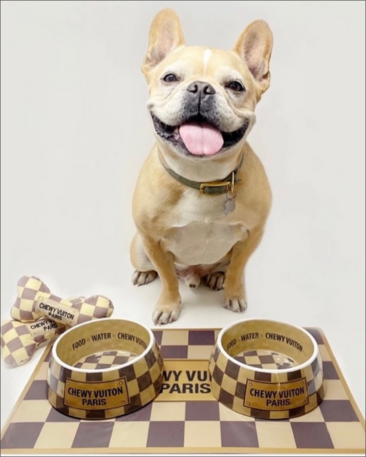 Chewy Vuitton LV Dog Bowl